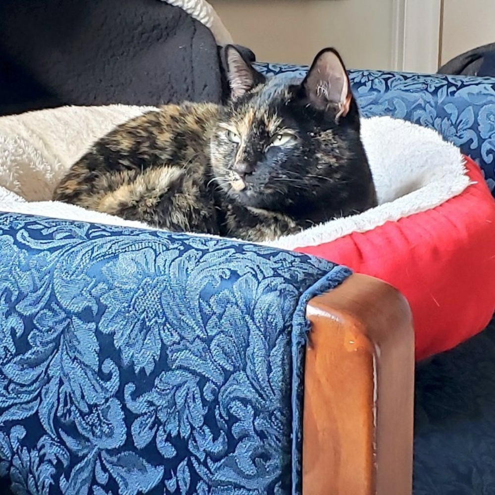 Meet your Posher, Jamie